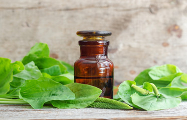 Apothecary bottle and greater plantain (psyllium) leaves and spikes flowers. Herbal medicine concept.