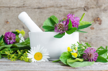 White porcelain mortar with healing flowers of clover and chamomile. Herbal medicine, organic...