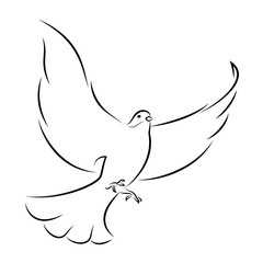 Line Art Vector Illustration Of A Flying White Dove.