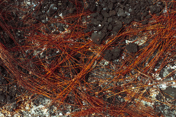 Naklejka premium Metal carcass of the burnt automobile rubber tire