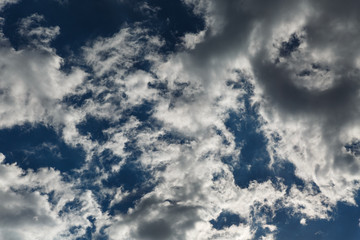 Bottom up view of greyish-white altocumulus clouds early in a summer morning. Beautiful dramatic cloud scape