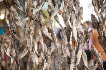 Dried Small fish background
