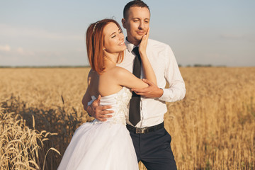 Gorgeous bride and groom in wheat field. Happiness and marriage