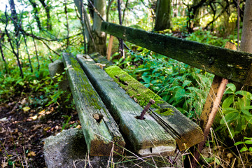 Old wooden bench