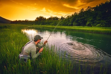 Peel and stick wall murals Fishing Fly fisherman fishing pike in river
