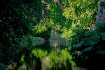Corso d'acqua. Bellezza naturale del giardino di ninfa