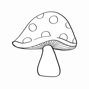 Mushroom Coloring