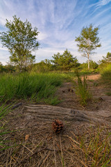 Ein Weg führt durch das Venn