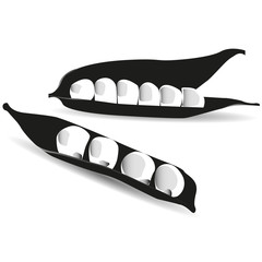 Vector image of peas