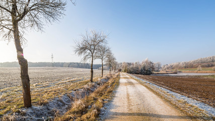 Winterspaziergang