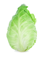 Fototapeta premium pointed cabbage isolated on white background