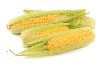 Corn on a white background
