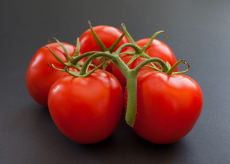 Five tomatoes picked from one branch lie on a gray background