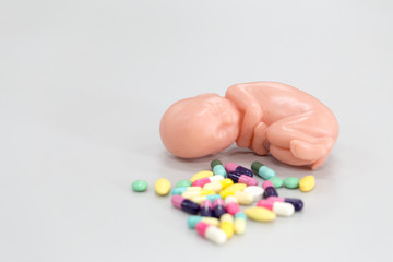 Embryo model, fetus and medicine for classroom education.