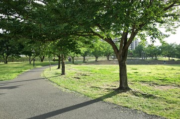 ７月の郊外散歩