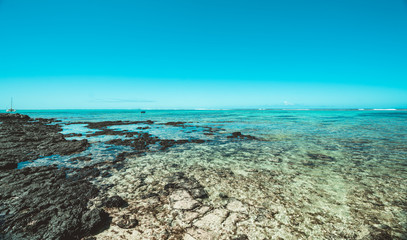 Fototapeta na wymiar Meeresleben an der Küste mit blauem tropischen Wasser