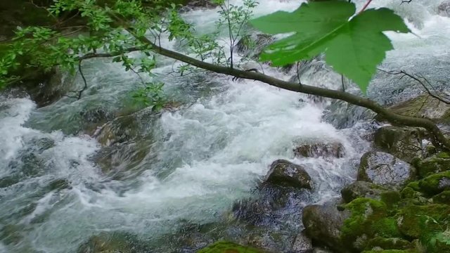 Torrente montano