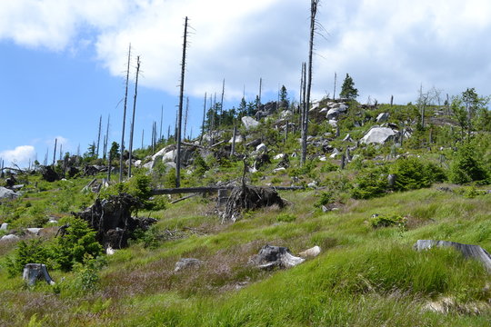 Dreisessel - Dreil&auml;ndereck - Berg in Bayern