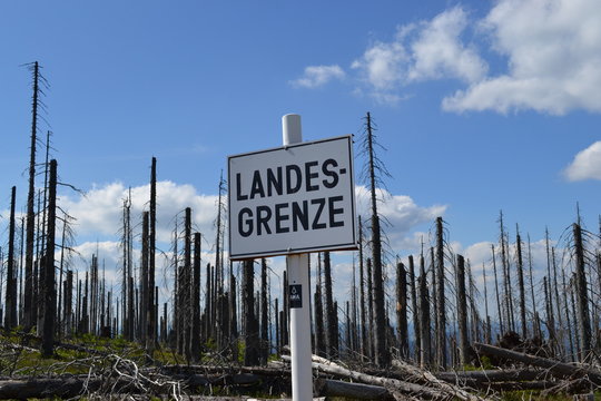 Landesgrenze - Dreiburgeneck - Dreisessel