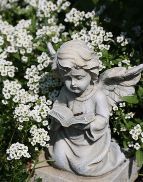  Engel zwischen weißen Blumen auf dem Friedhof