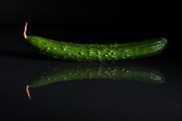 Cucumber