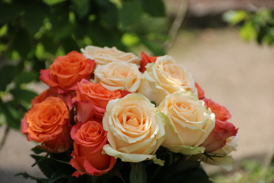 Blumenstrauß mit frischen Rosen schmückt ein Grab auf dem Friedhof