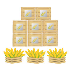 corn on the cop with leave on wooden box Isolated and packaging with logo background. vector illustration.