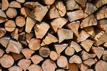 Feuerholz © ernstboese