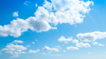 Fototapeta premium 青空・雲