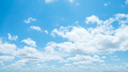 Fototapeta premium 青空・雲