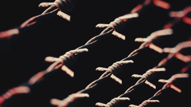 Seamlessly looping pan over infinite parallel lines of vibrant rusty red barbed wire.
