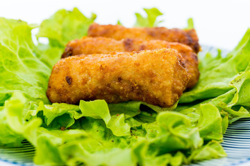 Homemade Spring rolls on a plate