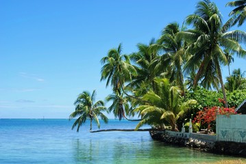 Obraz na płótnie Canvas lagon de Moorea (Polynésie)
