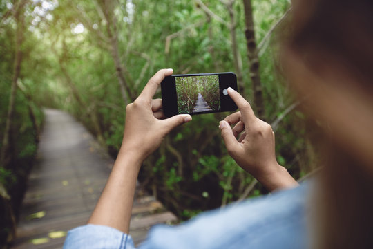 woman use phone taking nature photo