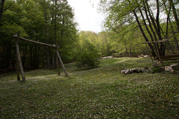 Picnic place and free cows at Monte Faiatella, Parco Nazionale del Cilento e Vallo di Diano