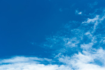Fototapeta na wymiar The blue backdrop has some clouds.