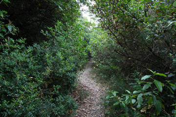 Hiking Trail to the beach Due Sorelle, Parco Naturale del Conero 