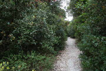 Hiking Trail to the beach Due Sorelle, Parco Naturale del Conero 