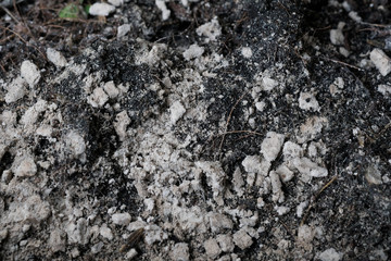 Dry soil
