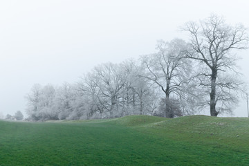 Fototapeta na wymiar Switzerland winter landscape