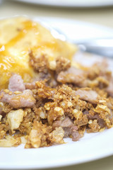 Garlic Pork rice omelet
