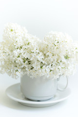 Cup with lilac on white background