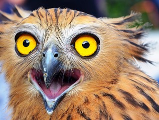 Angry 