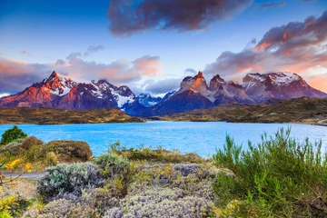 Peel and stick wall murals Cordillera Paine Torres Del Paine National Park, Chile.