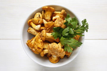 Freshly harvested chanterelle mushrooms with parsley in a bowl on white wooden background