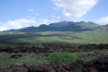 Black lava rocks line the shore at Keanae on the road to Hana in Maui, Hawaii