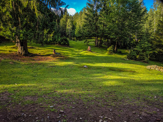 Carpathian mountains landscape view in Yaremche
