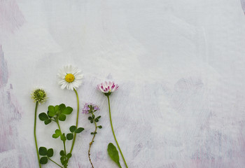 Flowers on grungy background