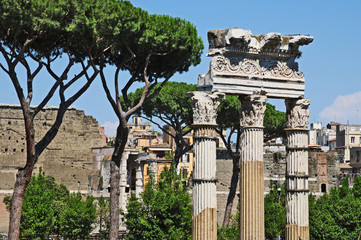 Roma Via dei Fori Imperiali - rovine del foro di Cesare