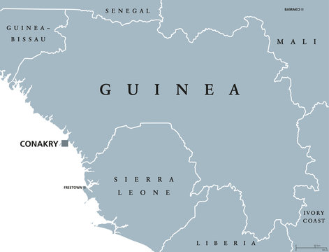Guinea political map with capital Conakry. Republic and country on the West coast of Africa, formerly known as French Guinea. Gray illustration isolated on white background. English labeling. Vector.